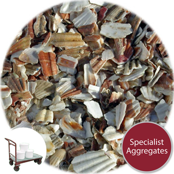 Crushed Sea Shells - Scallop Footpath - Click & Collect